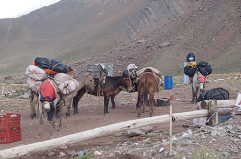プラサ・デ・ムーラスまで荷物はムーラ（ロバと馬の混血）が運ぶ。