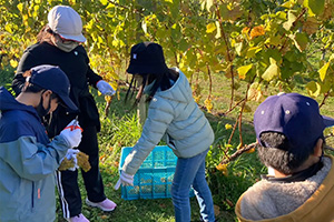 栃木県大田原市にある農場で地元の子どもたちに向けて、農業体験を実施
